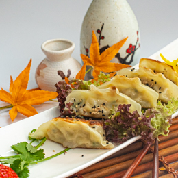 Gyoza au poulet